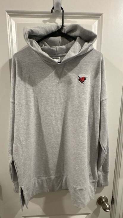Authentic Other - Authentic Nebraska Omaha Maverick Hoodie Size L Grey Cotton Blend Pullover
